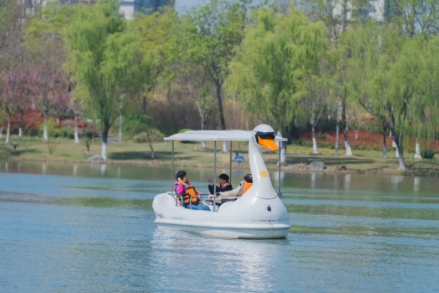 ΢�Ž�ͼ_20250526105641.png