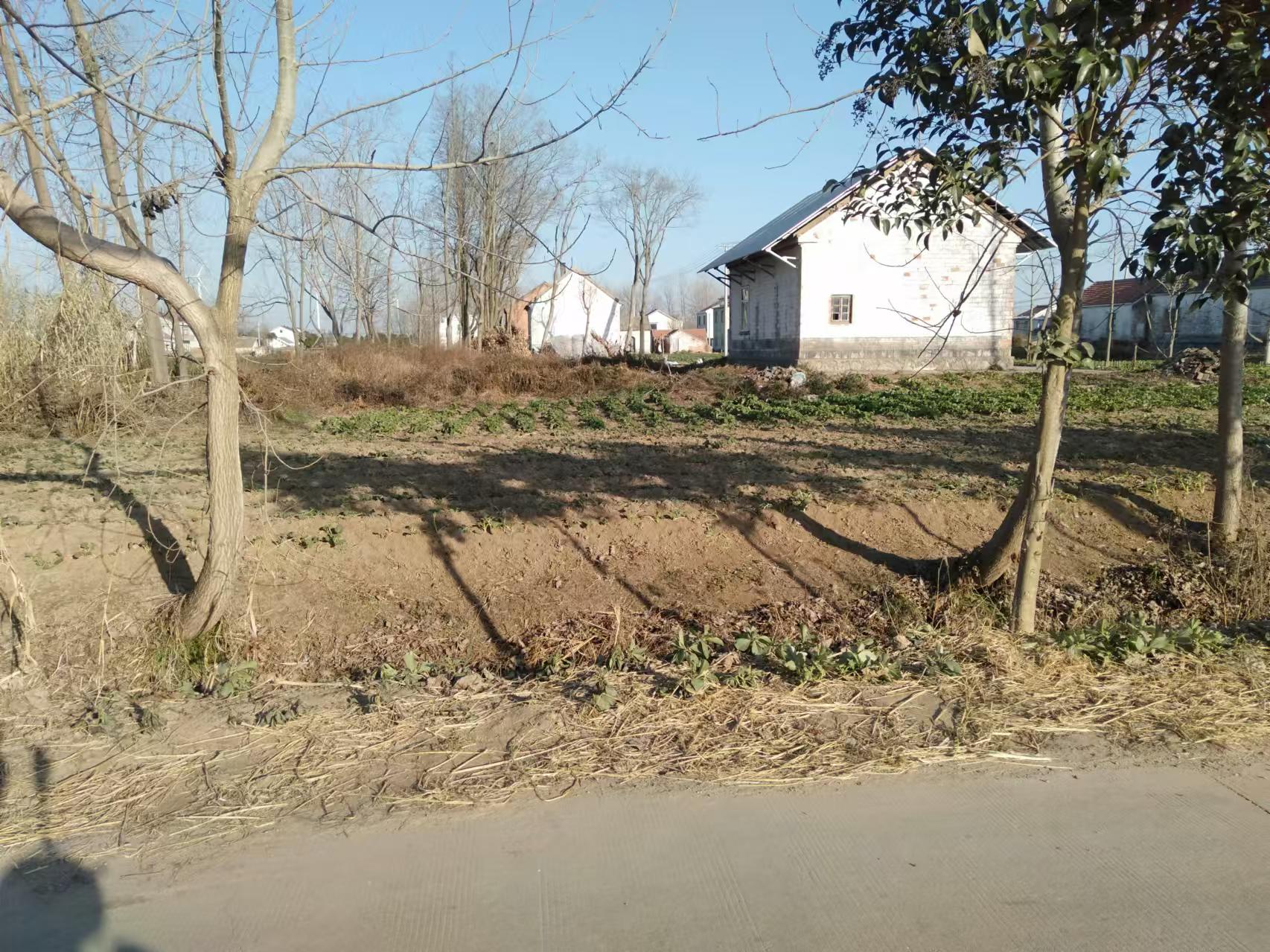 ΢��ͼƬ_20250527112336.jpg