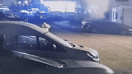 7.gif