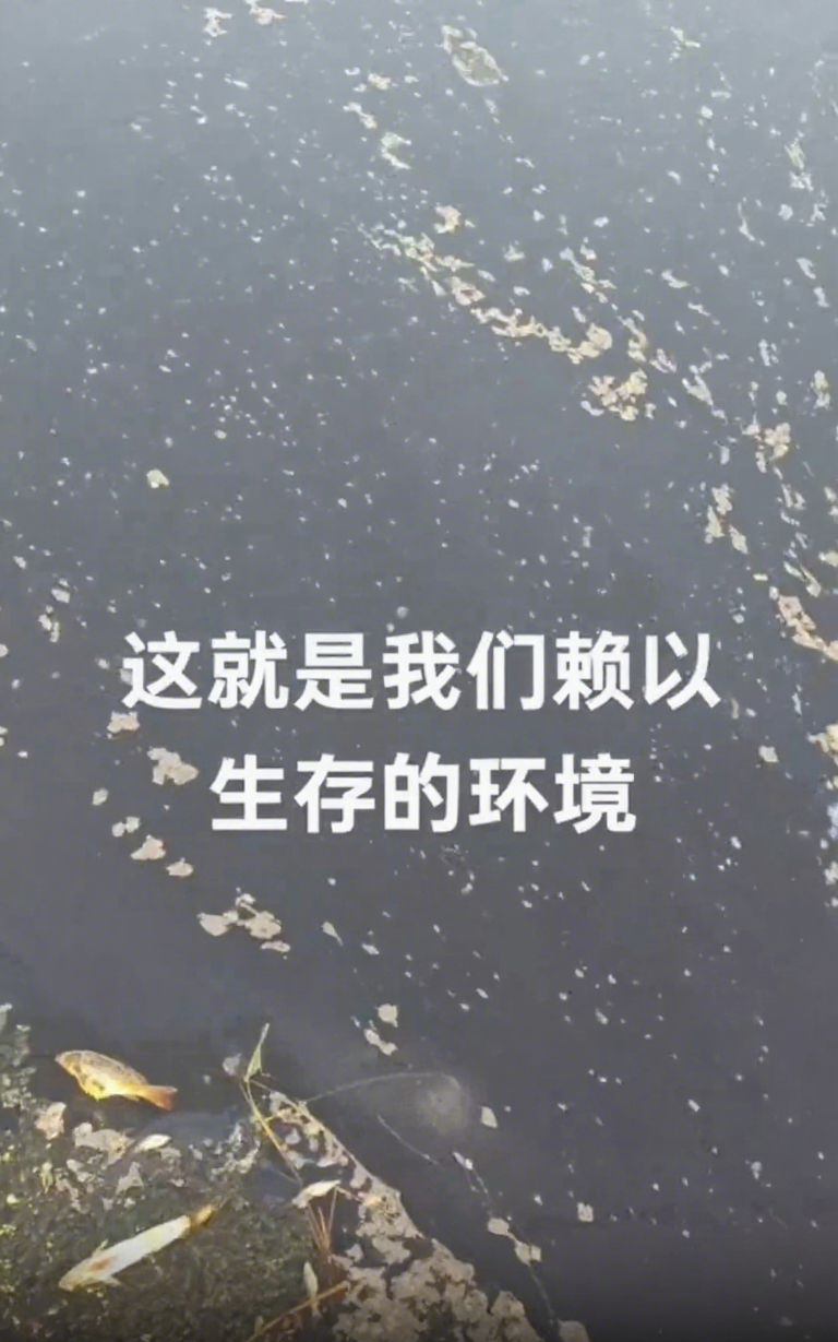 15.png