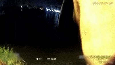 24.gif