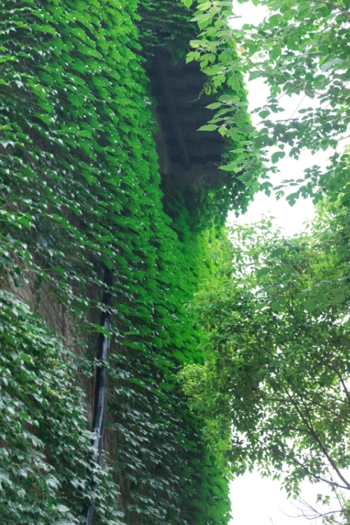 ΢�Ž�ͼ_20250707153500.png