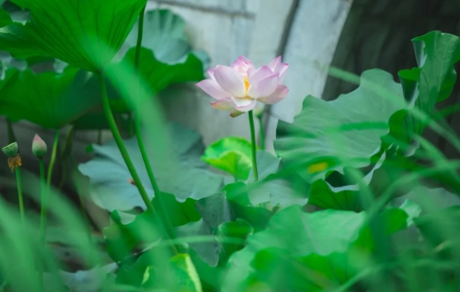 ΢�Ž�ͼ_20250707153536.png