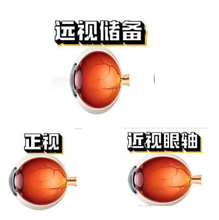 7.png