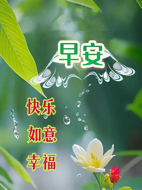 20250716084205front2_0_855411_FsH00ULeqQsj6N13pGXqpQLITi4S.png
