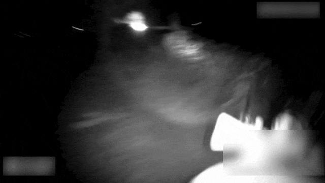 10.gif
