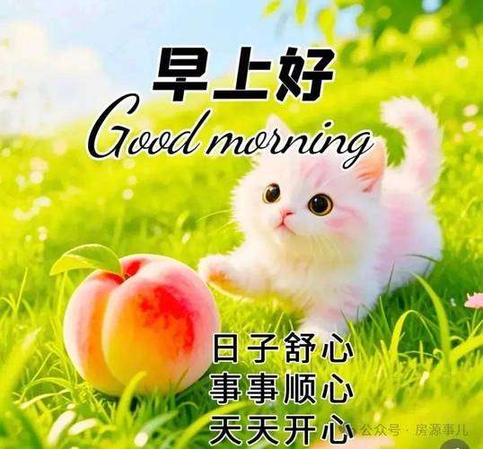 20250919064746front2_0_855411_Fi8AmHPi5b0xZQg7H9NOhDascIRC.jpg
