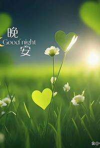 20251029213810front2_0_832048_FvnSMpHP56aERLowCynYPzEq9KPg.jpg