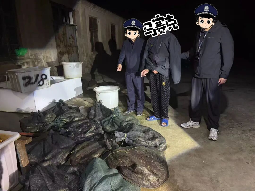 10.jpg