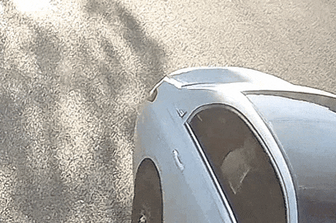 30.gif