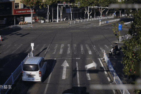 31.gif