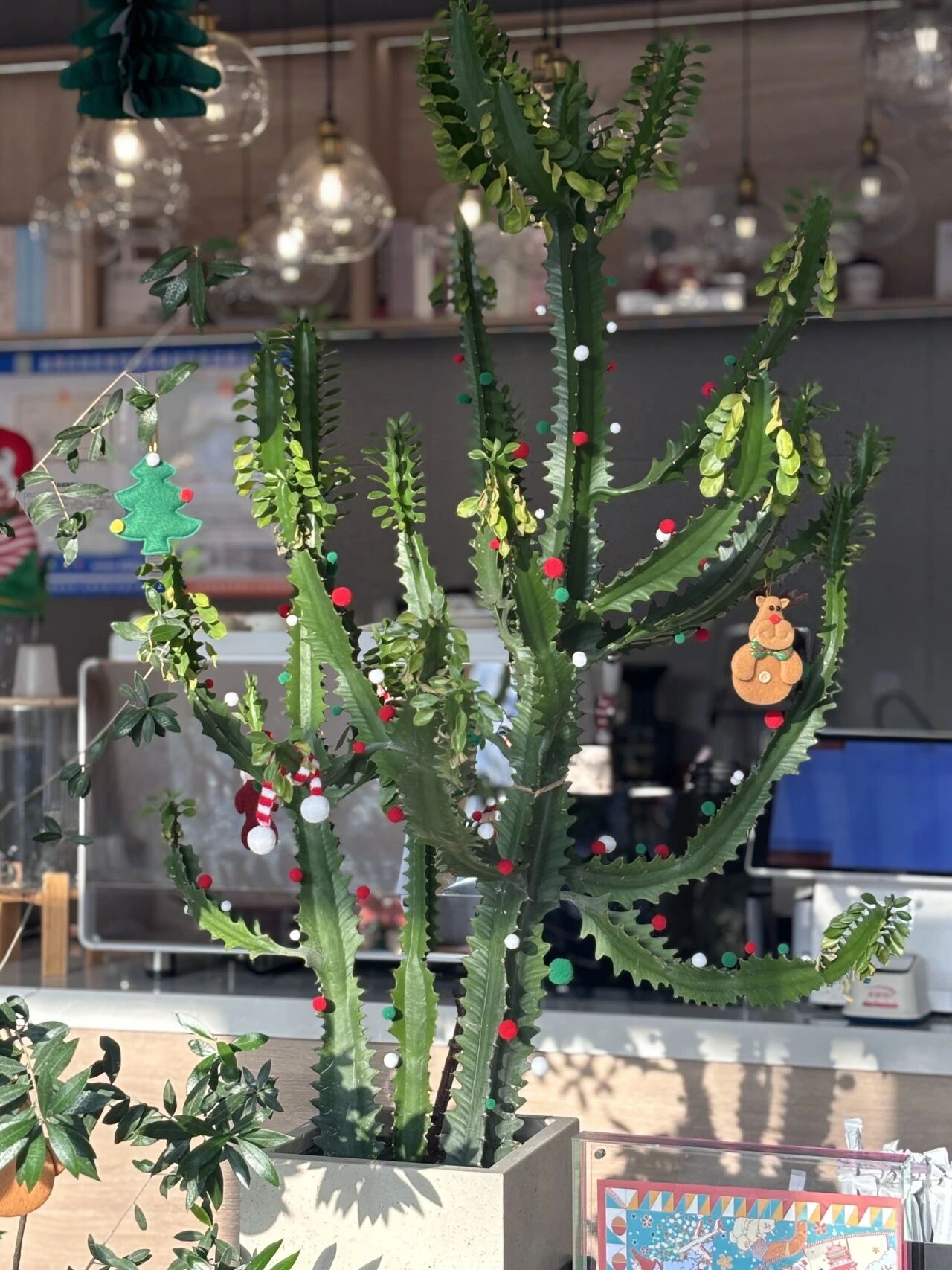 ΢��ͼƬ_2025-12-12_154626_956.jpg