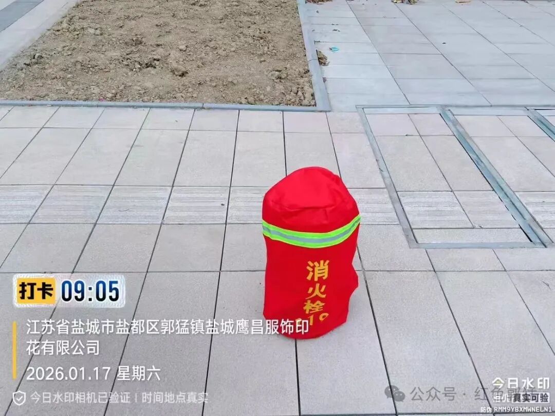 31.jpg