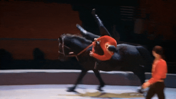 33.gif