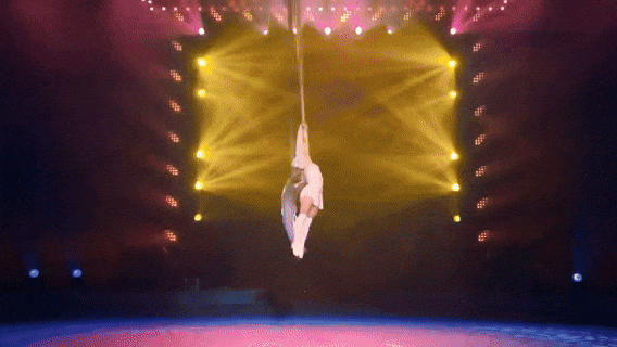 31.gif