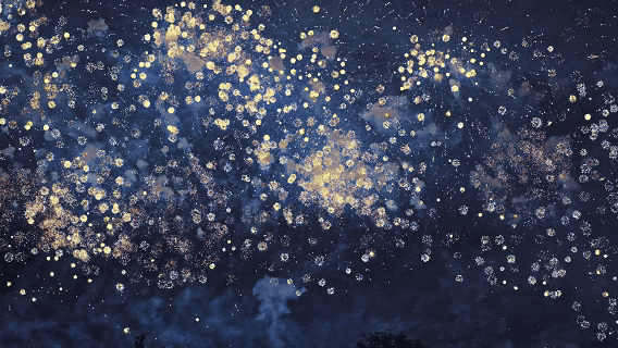 28.gif