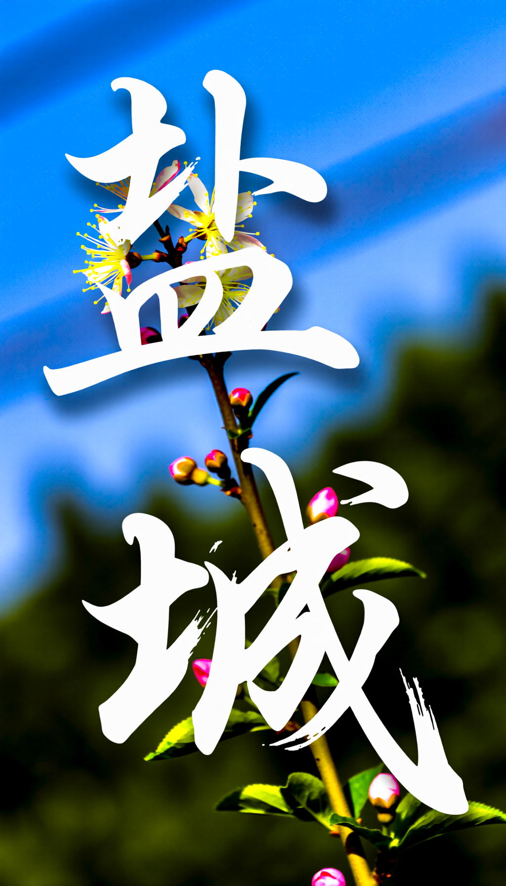 ΢��ͼƬ_20260304093912_1412_2.png