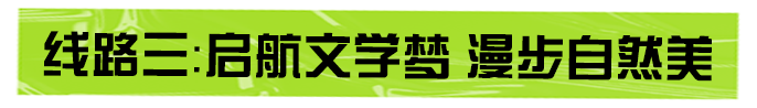 13.png