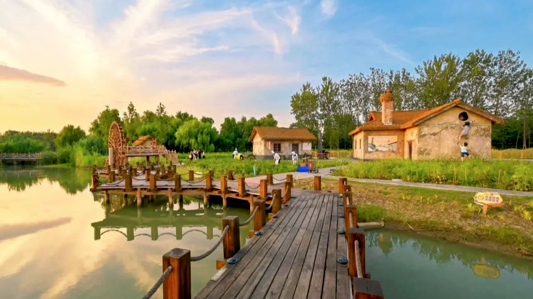 13.png