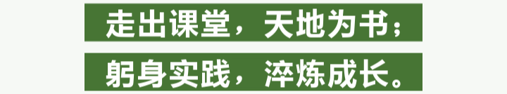 36.png