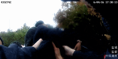 50.gif