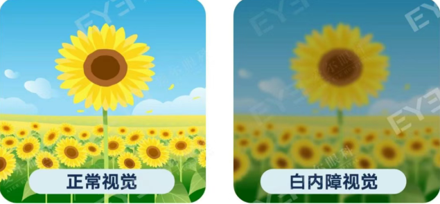 ScreenShot_2026-04-25_184723_561.png