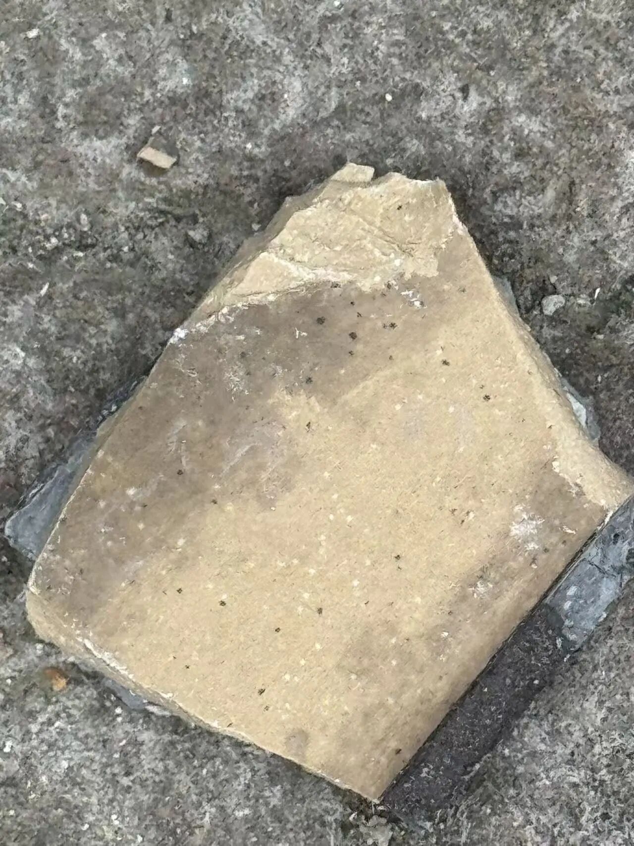 61.jpg