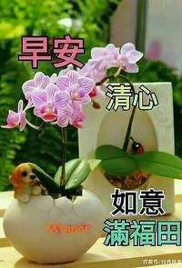 20260430065046front2_0_855411_Fg3B8tf1uSqm9KLP5LUYs48bM4hb.jpg
