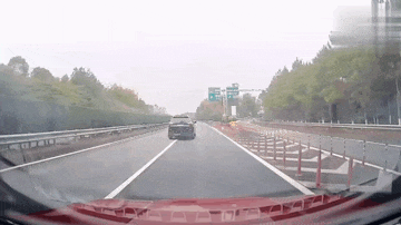 19.gif