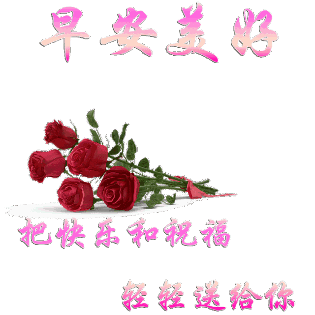 来自不知不觉的帖子