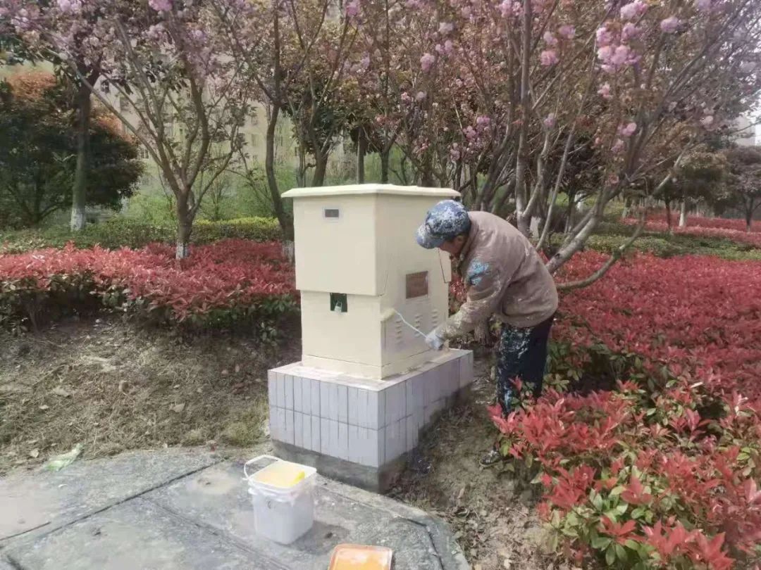 盐南城管——美化配电箱 亮出新风景