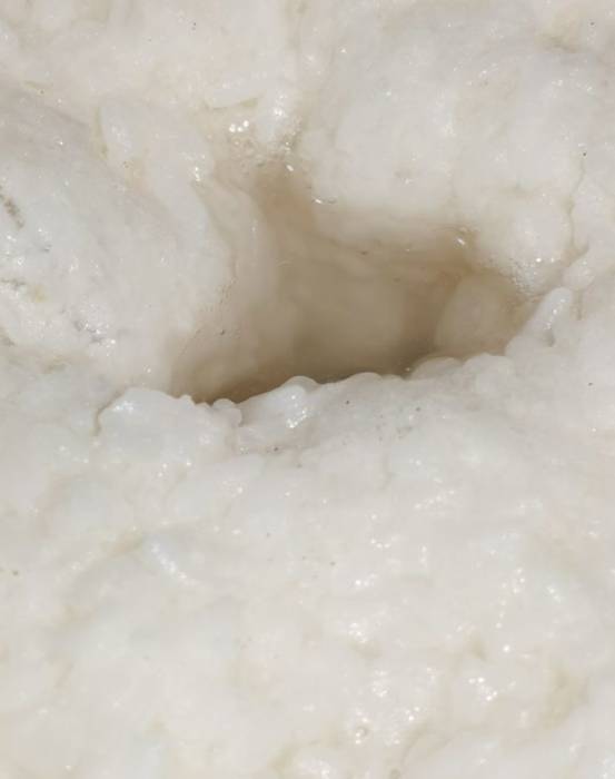 甜酒酿怎么长黑点点了还能吃嘛